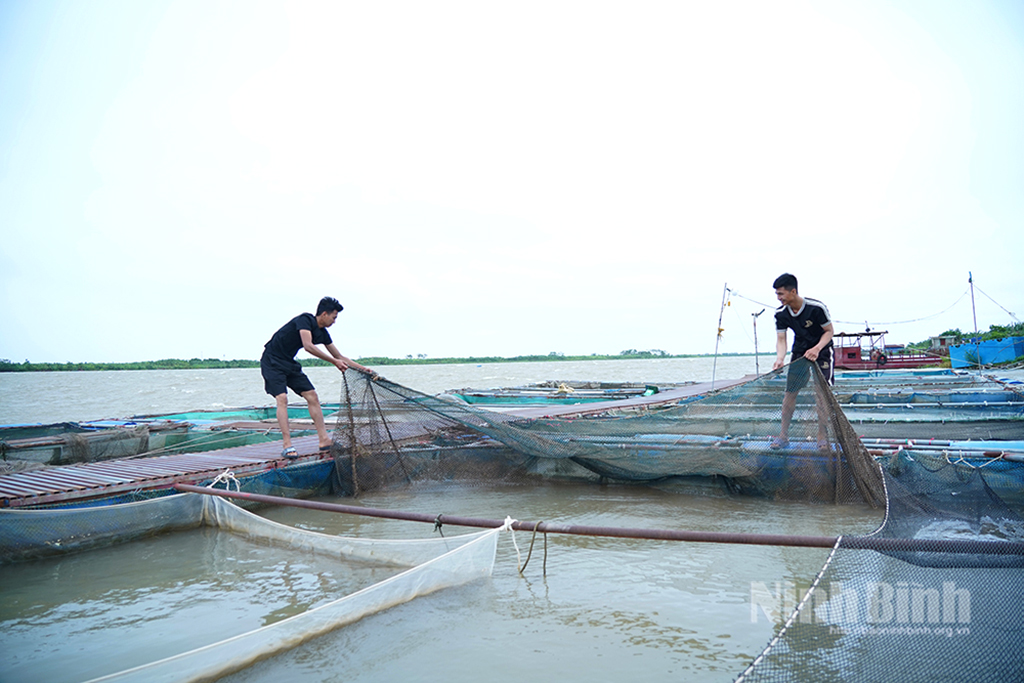 https://apibeta.baoninhbinh.org.vn/user-blob/15088545-560b-d200-1fa2-cc31adda5a44/2025/07/23/thuy-san-3_1753242305664.jpg